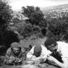 trois_freres_danois_et_un_camarade_5