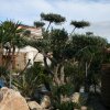 Ebre-70-ans