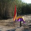 Ebre-70-ans